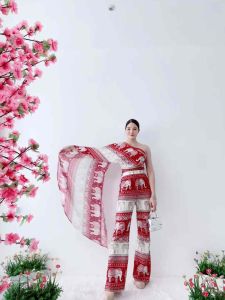 ชุดเซทช้าง