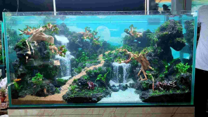 Desain Aquarium Aquascape Tebing Air Terjun Tinggi 25cm