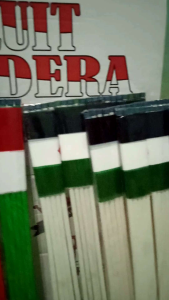 1 Pak isi 20 Pcs Bendera Indonesia Dan Palestina Gagang Plastik Pluit
