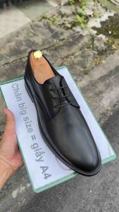 Giày da công sở giày tây cỡ lớn (Eu:45-46) cho nam cao to chân ú bè. Big size leather shoes for wide feet - GT213