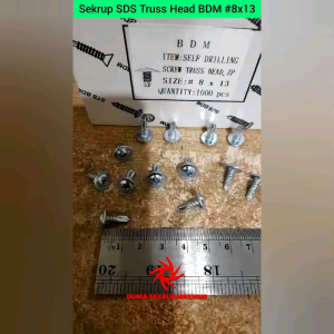 (50 pcs) Sekrup Roofing Truss Head SDS 8x13 mm / Skrup Truss Head 1.3CM