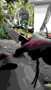 Pisau Saset Multifungsi: Desain Ergonomis & Praktis