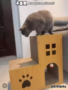 【Buy 2 free 1】Kittbits Ready Stock Large staircase shaped cat scratcher cat house cat nest. 猫爪板