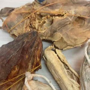 Fresh stock fish body and head. 100g