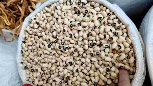 WHITE BEANS Available (1kg500g250g)