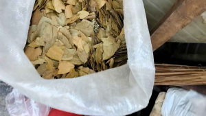 Paminta Laurel Leaves/Bay Leaves Available (1kg/500g/250g