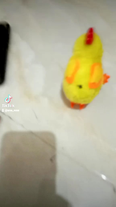 Mainan Anak Ayam Berjalan Model Putar Untuk Anak / Ayam Putar Jam