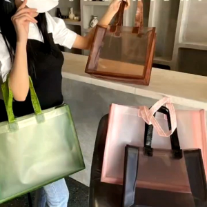 ❣️ Ready Stock ❣️ ( 10PSC ) PP Plastic Beg Frosted Gift Tote Bag Door Gift Goodies Shopping Transparent Bag