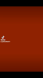 Quality Wood Perch For Your Birds