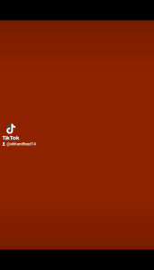 METAL FEEDER FOR BIRDS SMALL MEDIUM AND LARGE