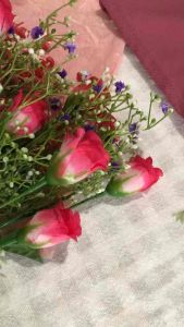 เดรสแฟชั่นสาวอวบ สีชมพู คอกลม ผ้ายืด แชนสั้น