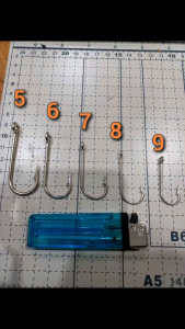 Kail Ukuran Besar KKB Key Kona Brand Eceran / 5pcs