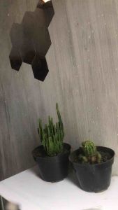 Tempered glass blueray anti radiasi full layar 9D untuk REALME P1 C1 C2 C3 C11 C12 C15 C17 C20 C20A C21 C21Y C25 C25S C30 C30S C31 C33 C35 C53 C55 C51 C51s C63 5G C65 C67 C67 4G C71 C73 C75 C75 4G C75X 2 3 3 PRO 5 5 PRO 6 10T 11 11X 12 12+ 12 4G 12 LITE