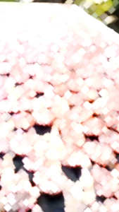 Rengginang Mini (3cm)/ Rengginang Mentah Ketan Isi 15 pcs 30 pcs dan  50 pcs untuk cemilan santai