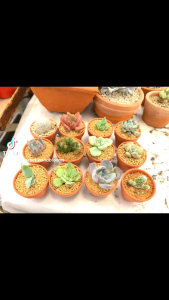 Thick Plastic Clay Looking Pot