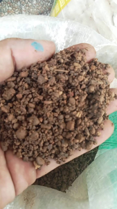 aquarium aquascape pasir soild gold kualitas lokal kemasan 1kg