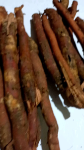 Jual Akar Pinang Segar Original Khusus 1 Kg