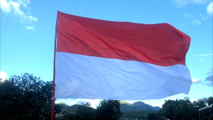 Bendera Merah Putih Indonesia Sedang Ukuran 140x90 Cm