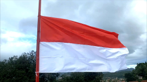 Bendera Merah Putih Ukuran Kecil Indonesia Ukuran 80x50 Cm