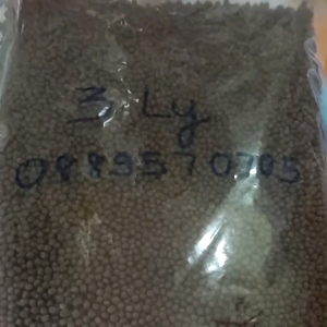 1 Kg Thức Ăn Cá 35% Protein Cho cá Koi cá 3 đuôi cá kiểng nhỏ...