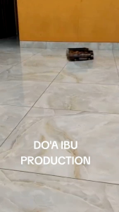 MINIATUR TRUK OLENG RENOTE CONTROL BISA DI CAS