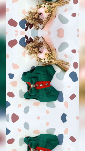 สำหรับสัตว์เลี้ยง เสื้อสูทแบบH กระรอก กระแต ชู้ก้า