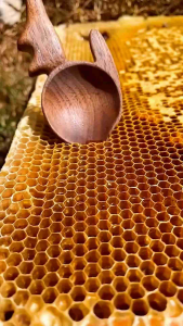 (NEW STOCK) Forever Bee Honey - 100% Natural Energy Booster - Vegetarian friendly & Gluten Free