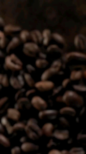 kopi toraja bubuk asli 500gram