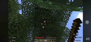 Đĩa chơi game PS5: Minecraft new version