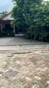 Knalpot Yamaha Fiz-R Tipe ORI Suara MREPET Full Pres Full Sirip