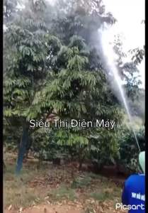 Súng Xịt Áp Lực Cao 15M AK Chuyên Phun Cây Sầu Riêng Bơ Cây Cao Các Loại