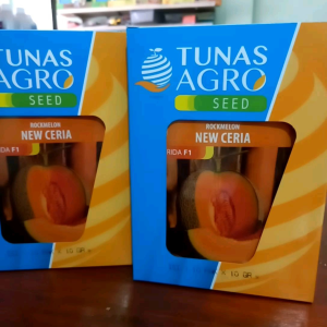 Benih Melon New CERIA F1 10 gr ASLI Bibit Rock Melon Merah Orange Tunas Agro Seed