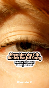 TEH DAUN MENIRAN / TEH HERBAL DAUN MENIRAN TEH CELUP Ranjana Herbal Spesialis Hati Liver Hepatitis Tenaga Meningkat Mual Hilang Napsu Makan Naik 100% ALAMI HERBAL