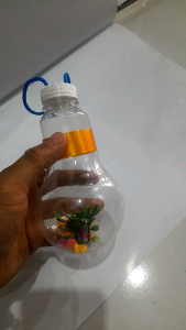 Aquarium Mini Mika Karakter & Bola Lampu: Panduan Lengkap