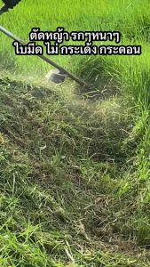 ใบมีดตัดหญ้าตัดเตียน