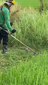 ใบมีดตัดหญ้าตัดเตียน ชุดตรง 2 งอ 2