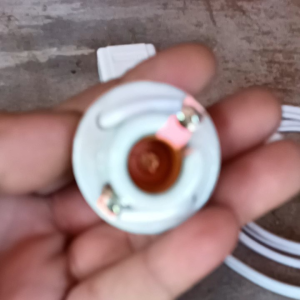 Altar Bulb Set with Socket and Plug. without bulb