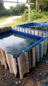 กระชังบกบ่อผ้าใบ PE 200 Super แบบสำเร็จพร้อมโครงขนาด 80 * 2 ลึก 60 เซนติเมตร