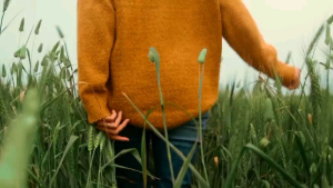 Nateen Combi Maxi Adult Diaper – High Absorbency up to 3050 ml Medium (37" - 49") with Wetness Indicator & Leak Guard Eco-Friendly 10s