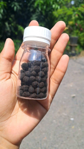 PROMO Manjakani Majaan Tradisional 100% Organik ASLI BANYUWANGI / Majaan Majakani Pil Glintiran Obat Keputihan
