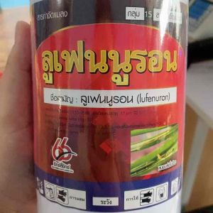 ลูเฟนนูรอน สารกำจัดแมลงหนอนห่อใบข้าว" เป็น "ลูเฟนนูรอน สารกำจัดแมลงหนอนห่อใบข้าว