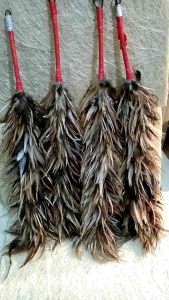 Feather Duster Pamagpag