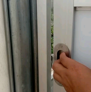 (KEMASAN PREMIUM) BIJI/BENIH CABE BESAR HOT BEAUTY IMPORT ( isi -+350 butir)