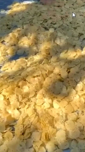 Opak Singkong khas banyumasan berat 500 gram