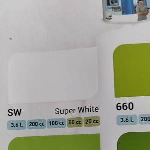 Cat Kayu Dan Besi Avian 500gram warna Super White