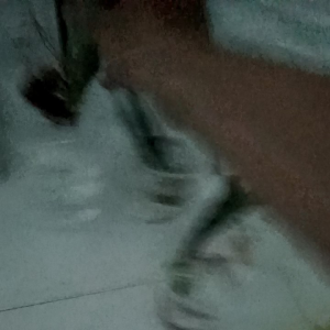 cây lưỡi hổ thủy sinh trồng trong nhà không cần ánh sáng