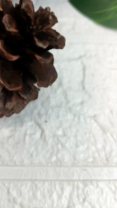 Sandal Slop Pria Clam Slide Size 39-44 Hema 9221M