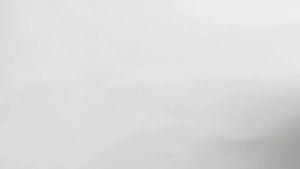 Benih Biji Labu Kuning Paket 100 Gram & Bibit Labu Kuning