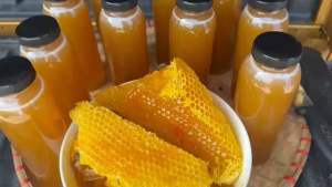 [CHÍNH HÃNG] Mật Ong Khoáiiii Chuẩn Rừng Màu Vàng Thơm Nhiều Ga