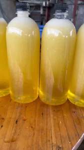 [CHÍNH HÃNG] Mật Ong Bạc Hà Thơm Chuẩn Hà Giang Của Nhà Tây Bắc Food